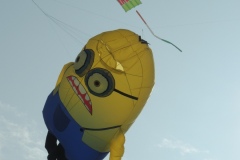 Minion 1